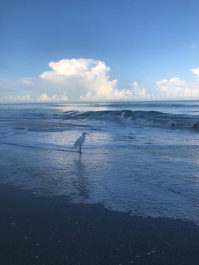Naples Dream At Wtc With Heated Pool Spa Sauna 7 Bicycles And 3 Mls To Beach Bagian luar foto